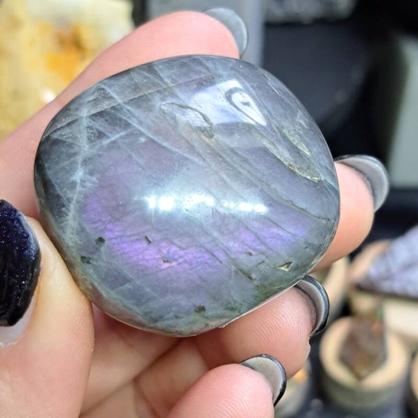 Labradoriet Jumbo (6)