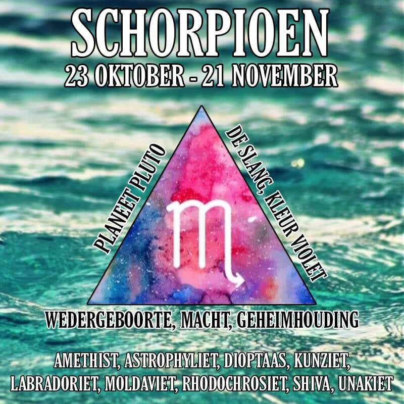 Schorpioen