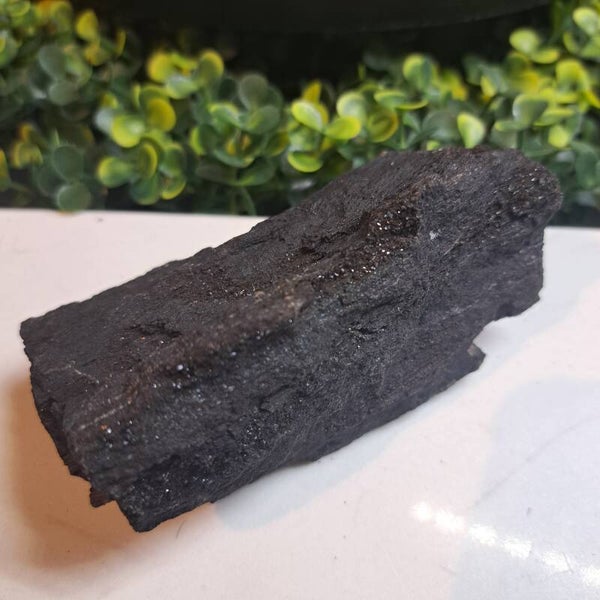 Gepermineraliseerd hout Nr. 7