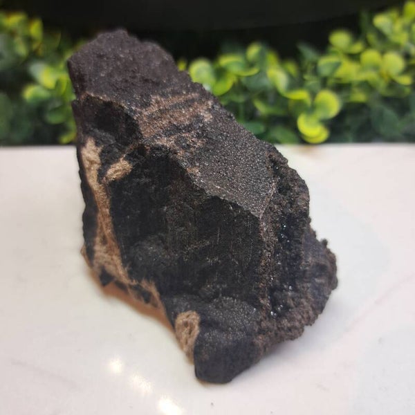 Gepermineraliseerd hout Nr. 14