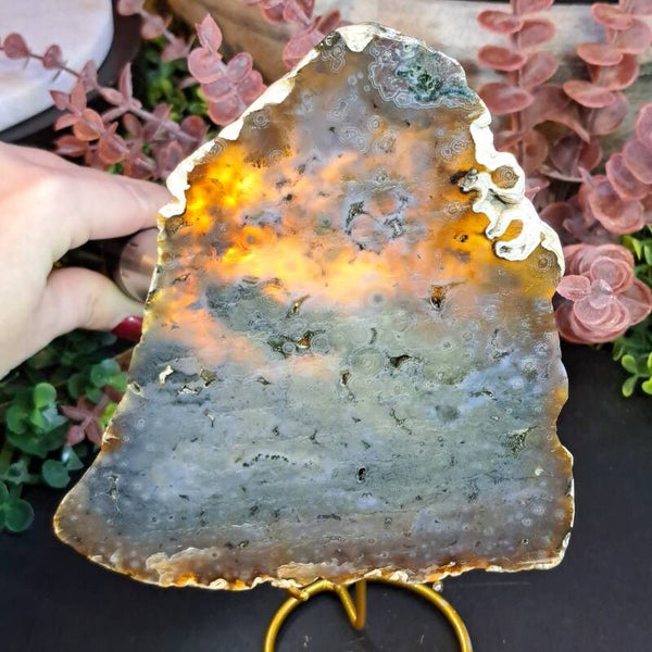 Oceaanjaspis / Chalcedoon Plak (3)