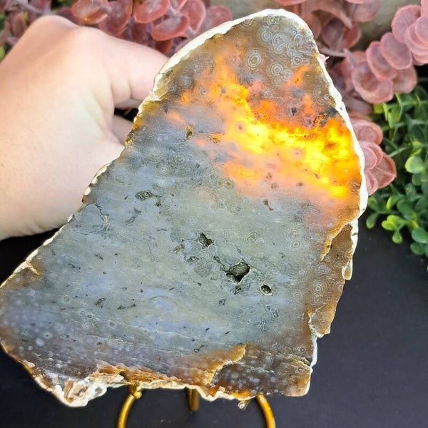 Oceaanjaspis / Chalcedoon Plak (8)