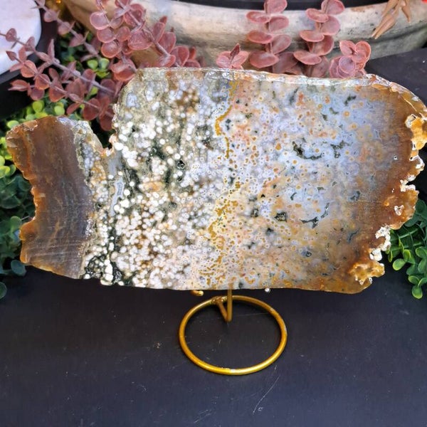 Oceaanjaspis / Chalcedoon Plak (11)