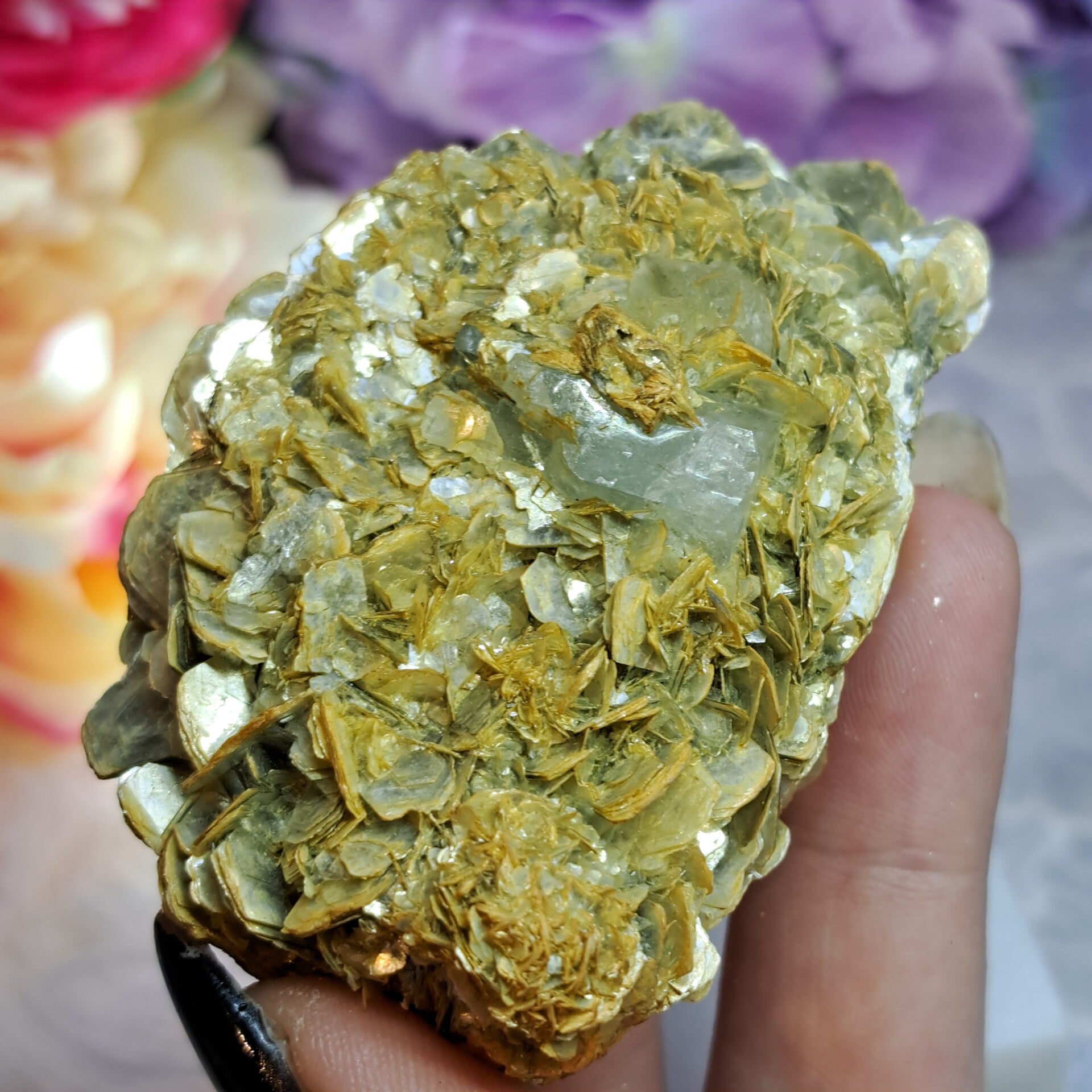 Aquamarijn met Muscoviet/ Mica Cluster (4)