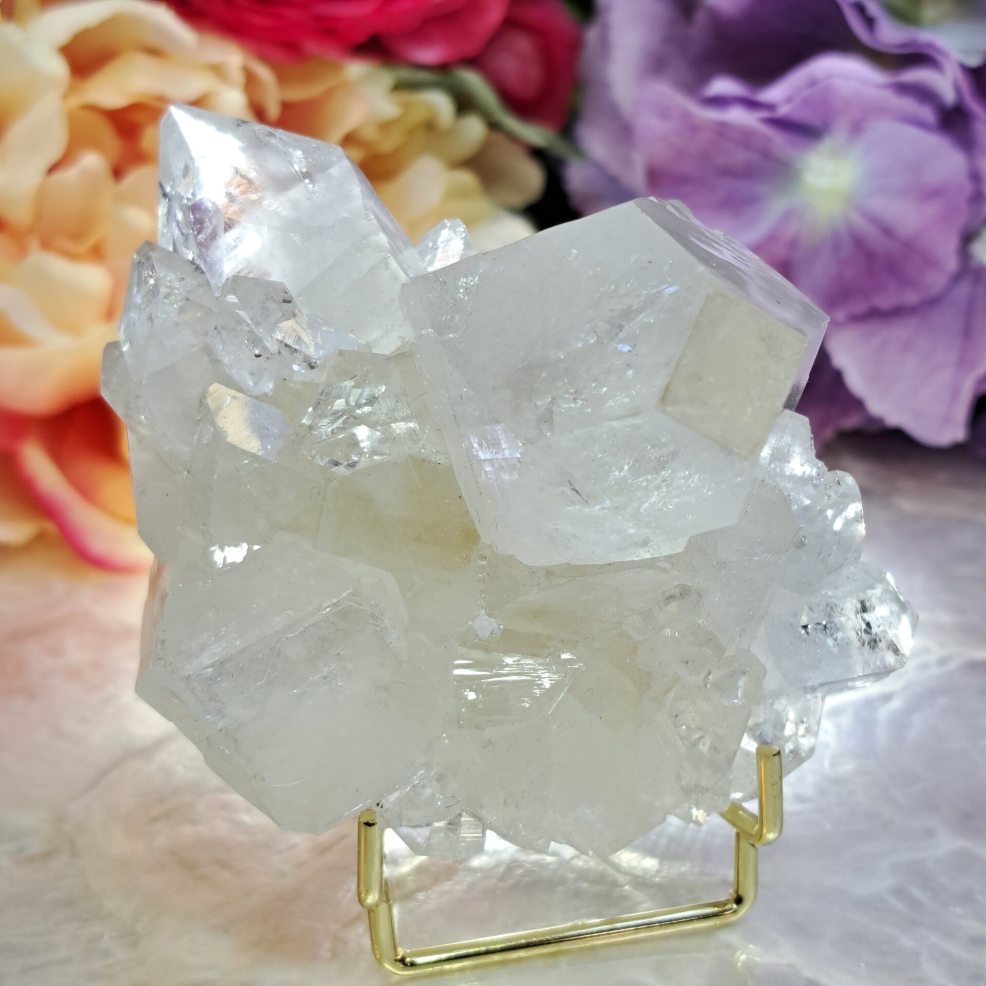 Spiegel Apofyliet Cluster (23)