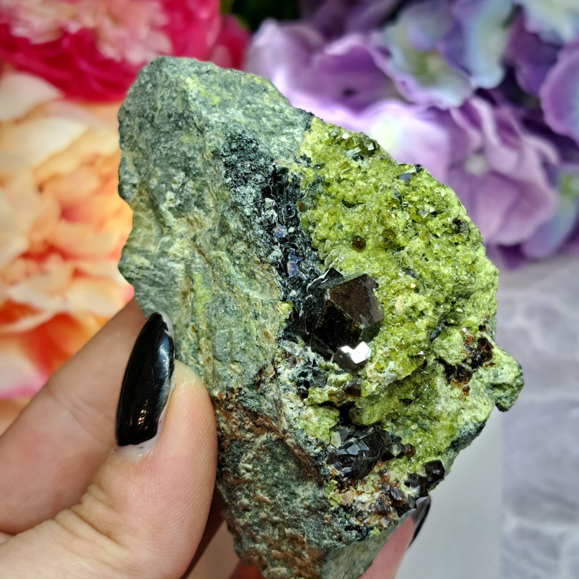 Melaniet Andradiet Granaat (1)