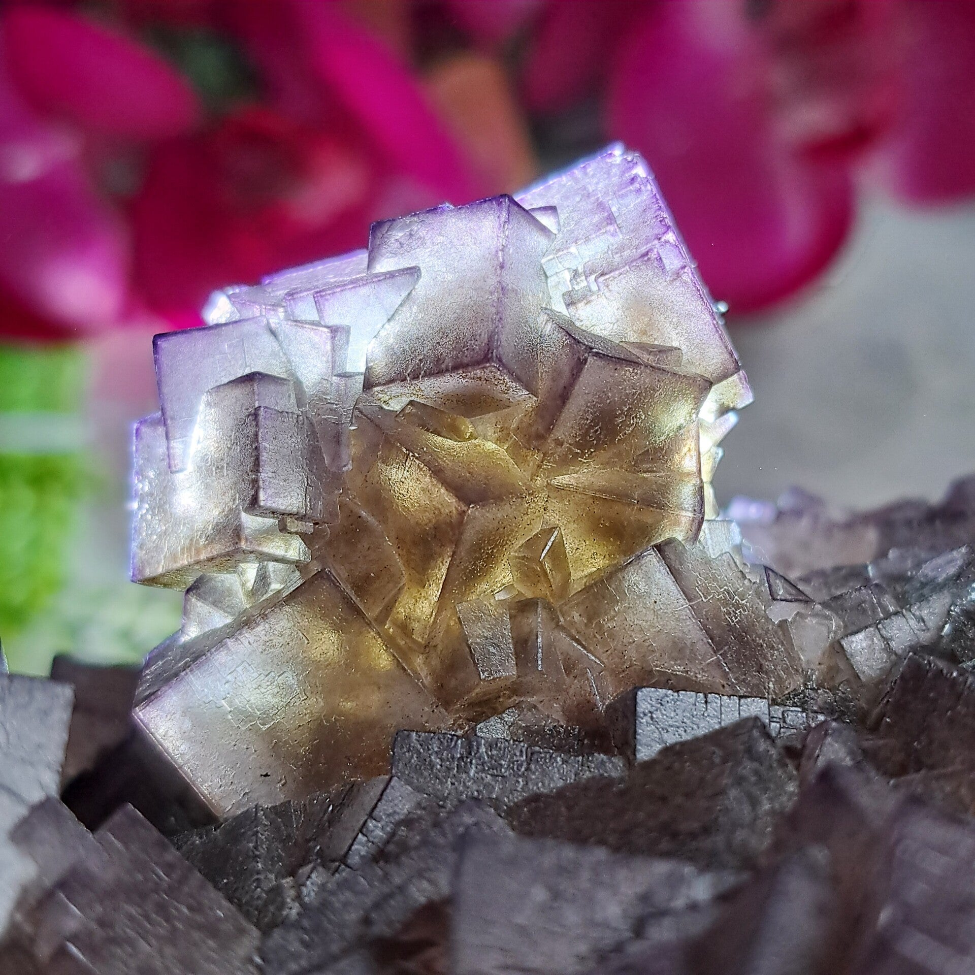 Fluoriet Cluster (2)