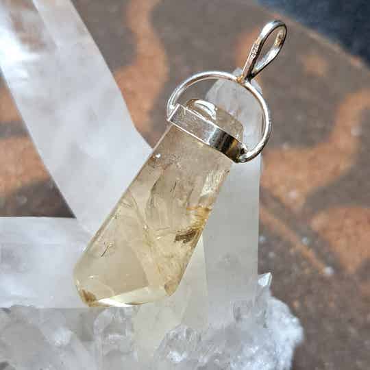 Citrien Hanger (1)