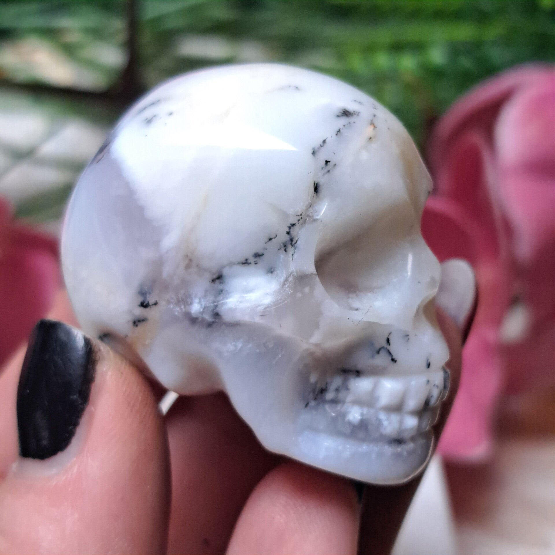 Dendriet Agaat Skull