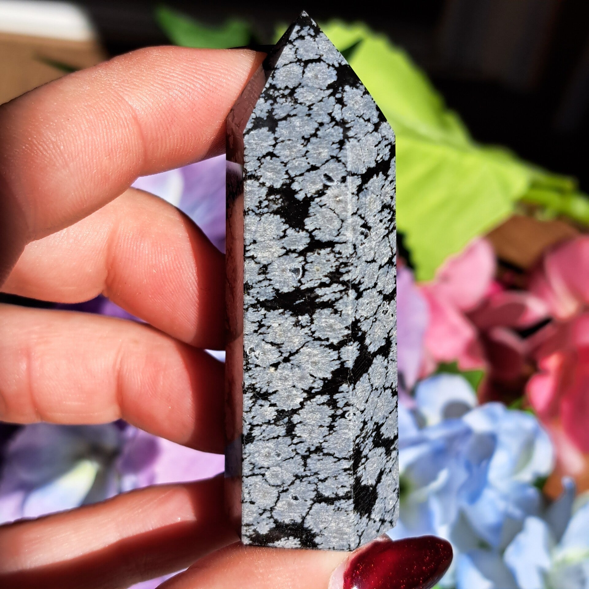 Sneeuwvlok Obsidiaan Punt (10)