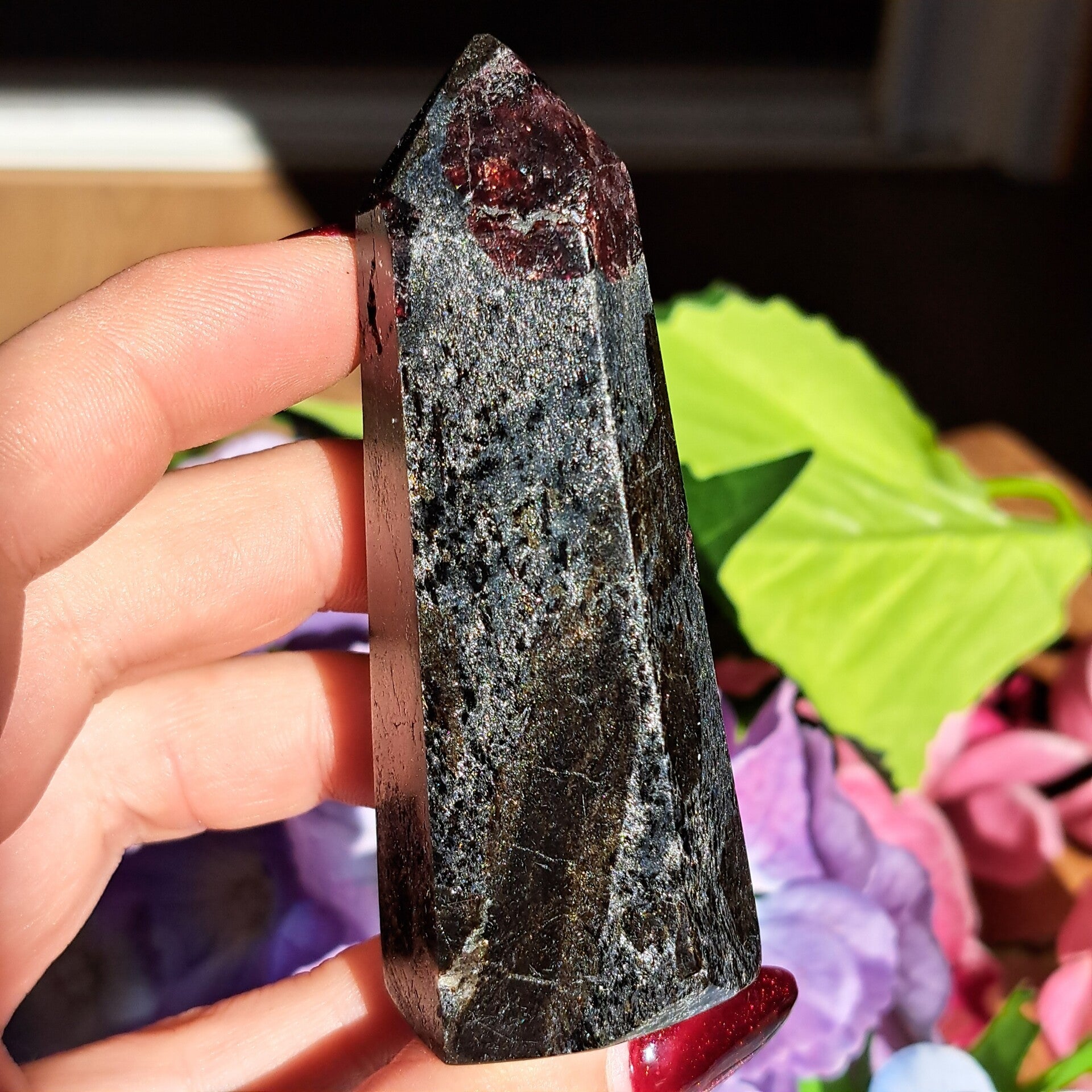 Granaat & Stauroliet in Schist punt (2)