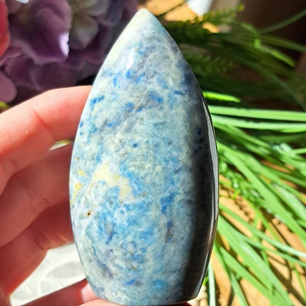 Hackmaniet Druppel (1)