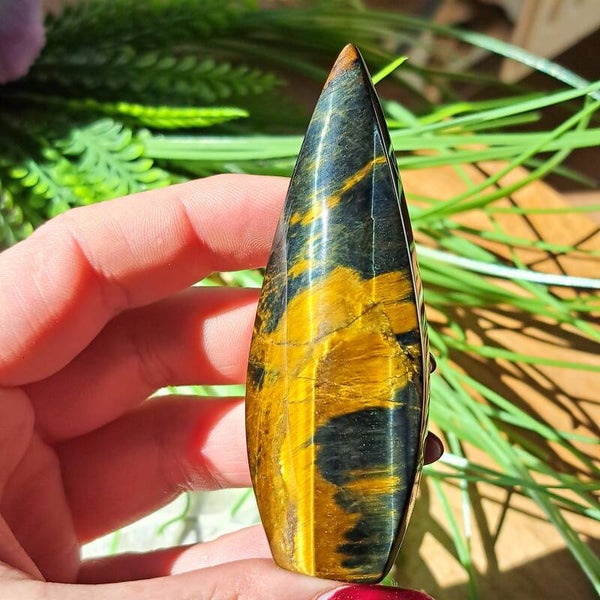 Tijgeroog & Valkenoog Druppel (1)