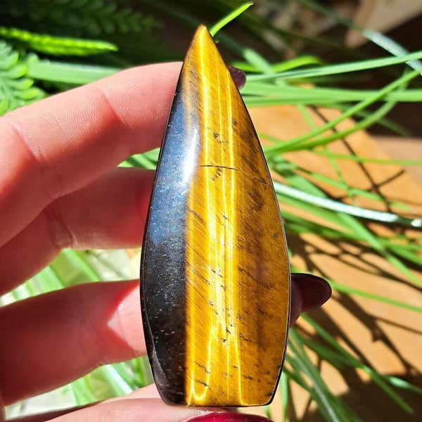 Tijgeroog & Valkenoog Druppel (11)