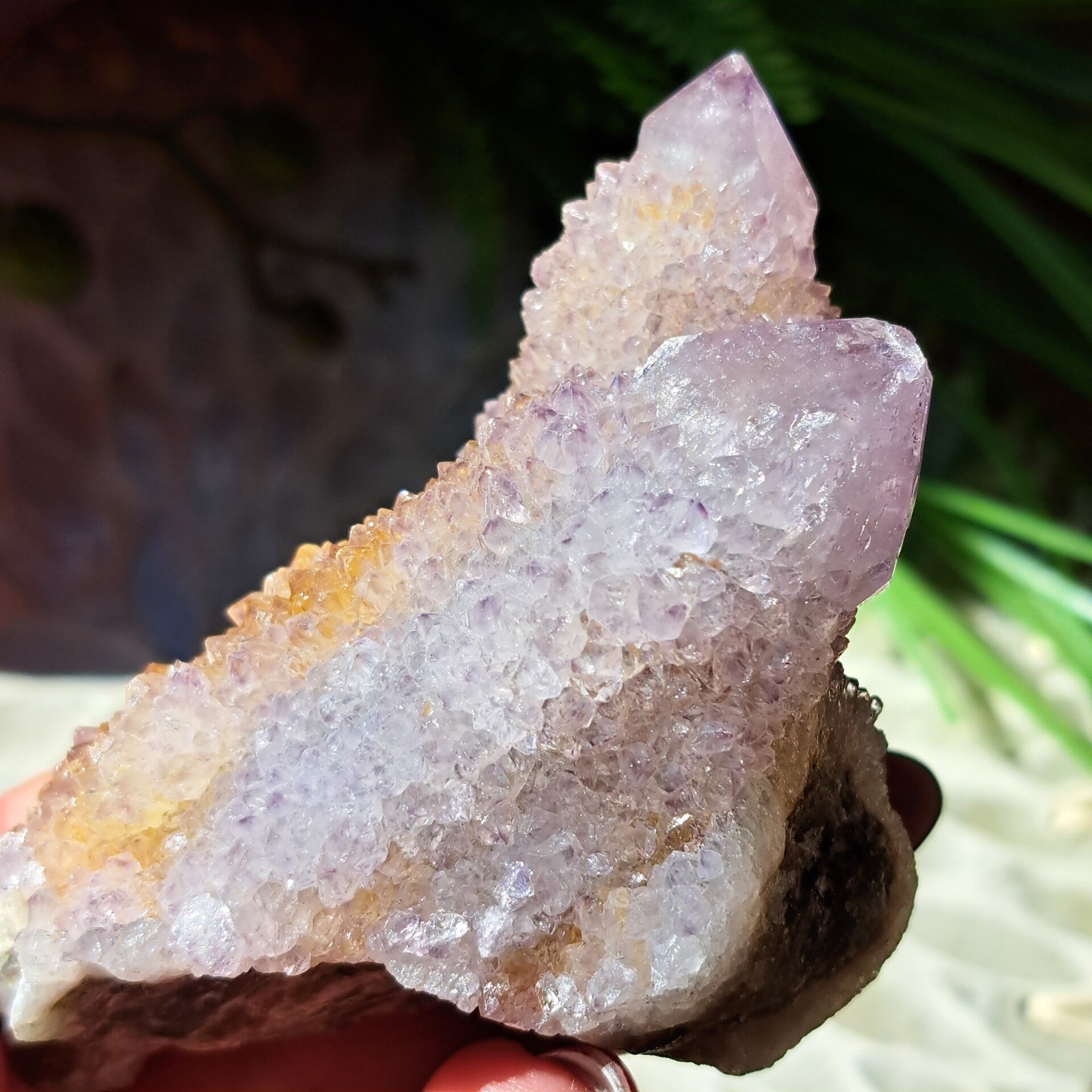 Spirit / Cactus Amethist