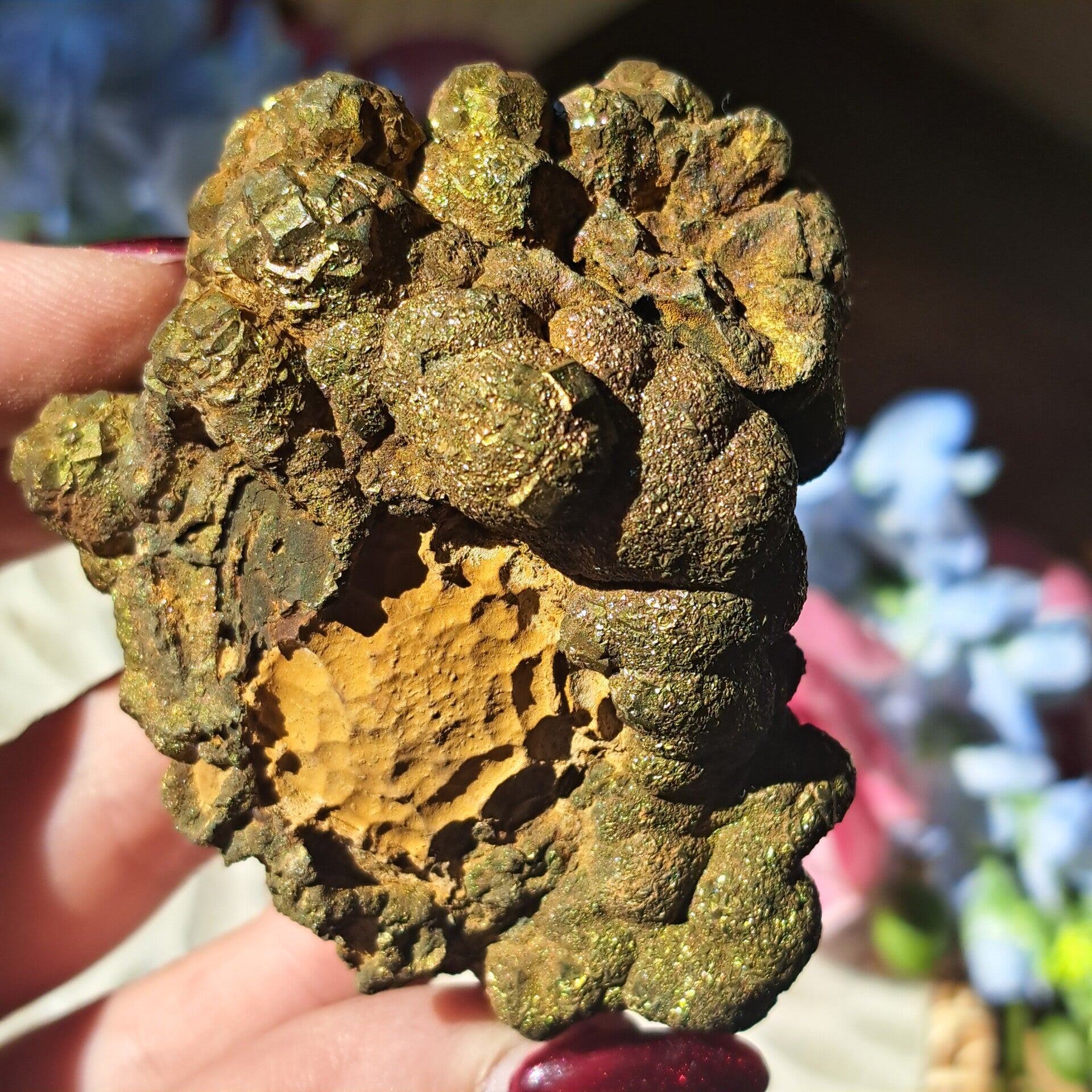 Regenboog Pyriet op Limoniet (3)