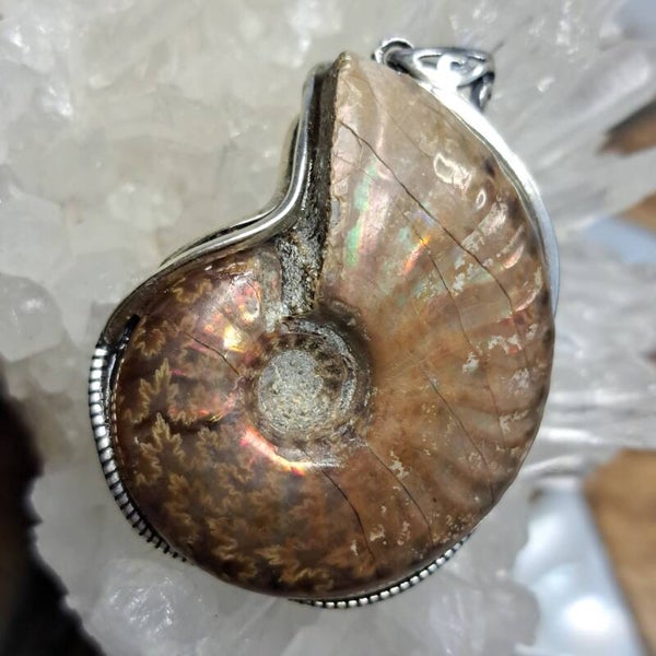 Iriserende Ammoniet Hanger (3)