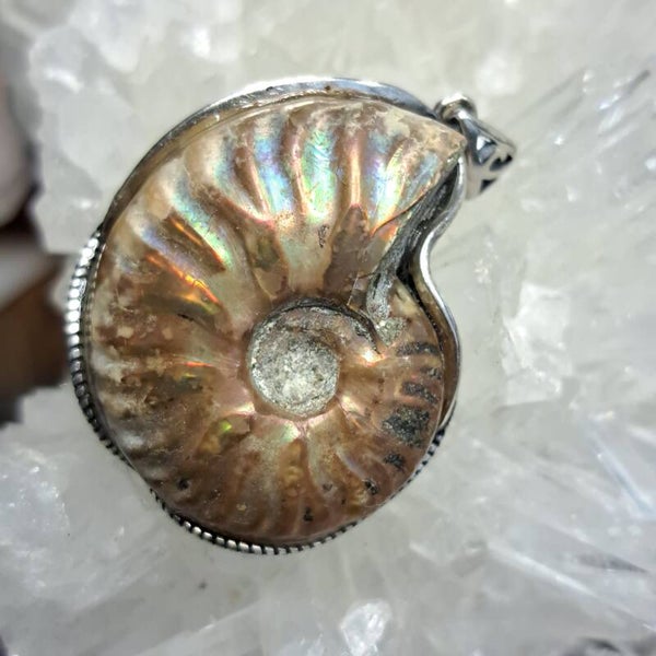 Iriserende Ammoniet Hanger (4)
