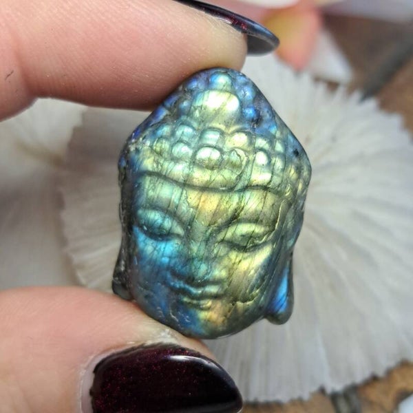 Labradoriet Buddha (1)