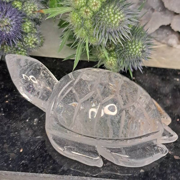 Kwarts Schildpad (4)
