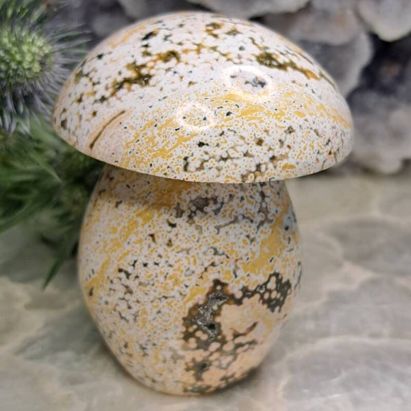 Oceaanjaspis XL Mushroom (1)