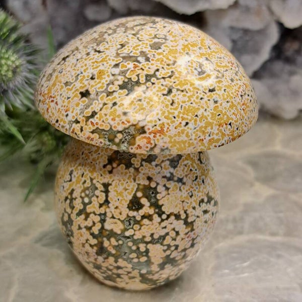 Oceaanjaspis XL Mushroom (2)