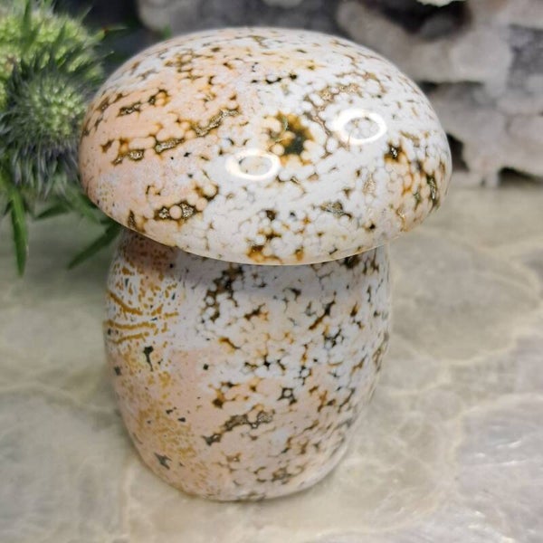 Oceaanjaspis XL Mushroom (3)