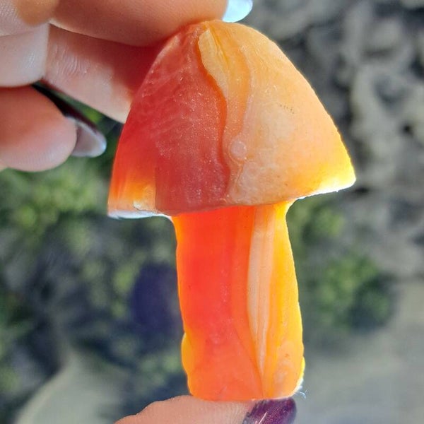 YanYuan Agaat Mushroom (5)