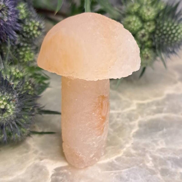 YanYuan Agaat Mushroom (4)