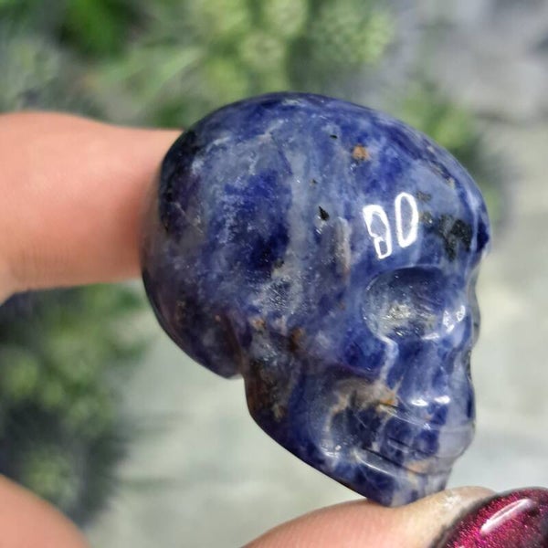 Sodaliet Mini Skull (5)