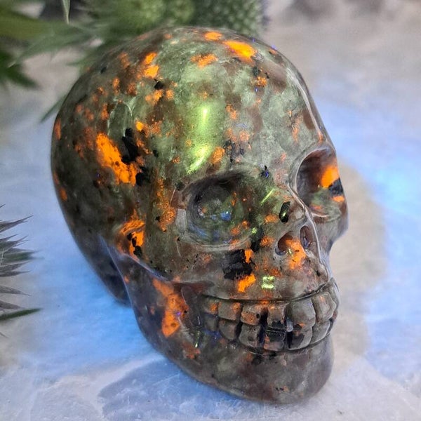 UV Sodaliet Skull (1)