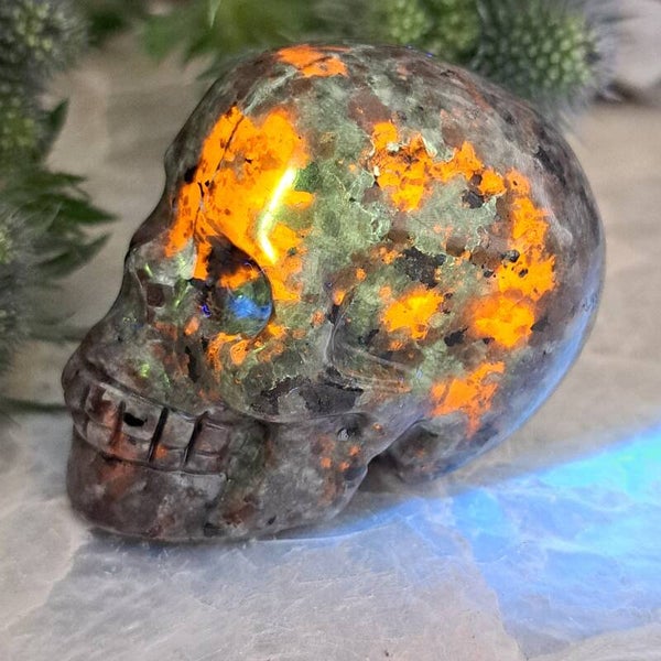 UV Sodaliet Skull (2)