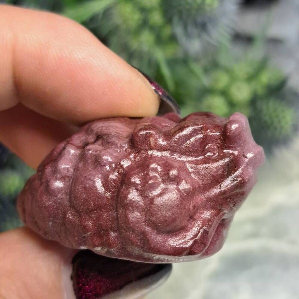 Mookaiet Money Frog (1)