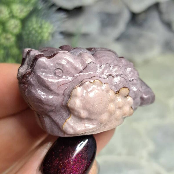 Mookaiet Money Frog (4)