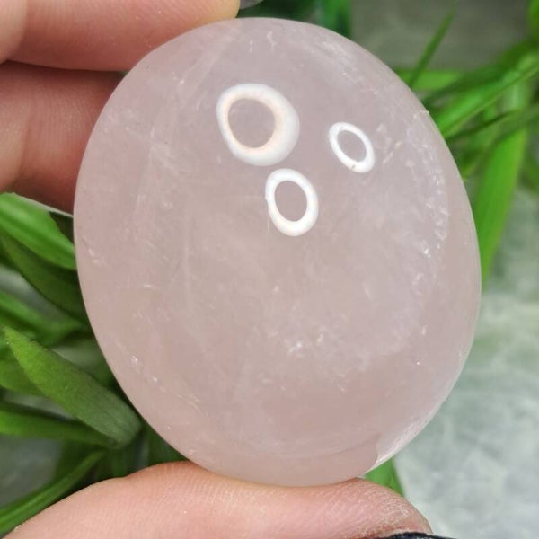 Rozenkwarts Jumbo (7)