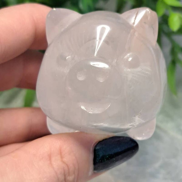 Rozenkwarts Geluksvarken