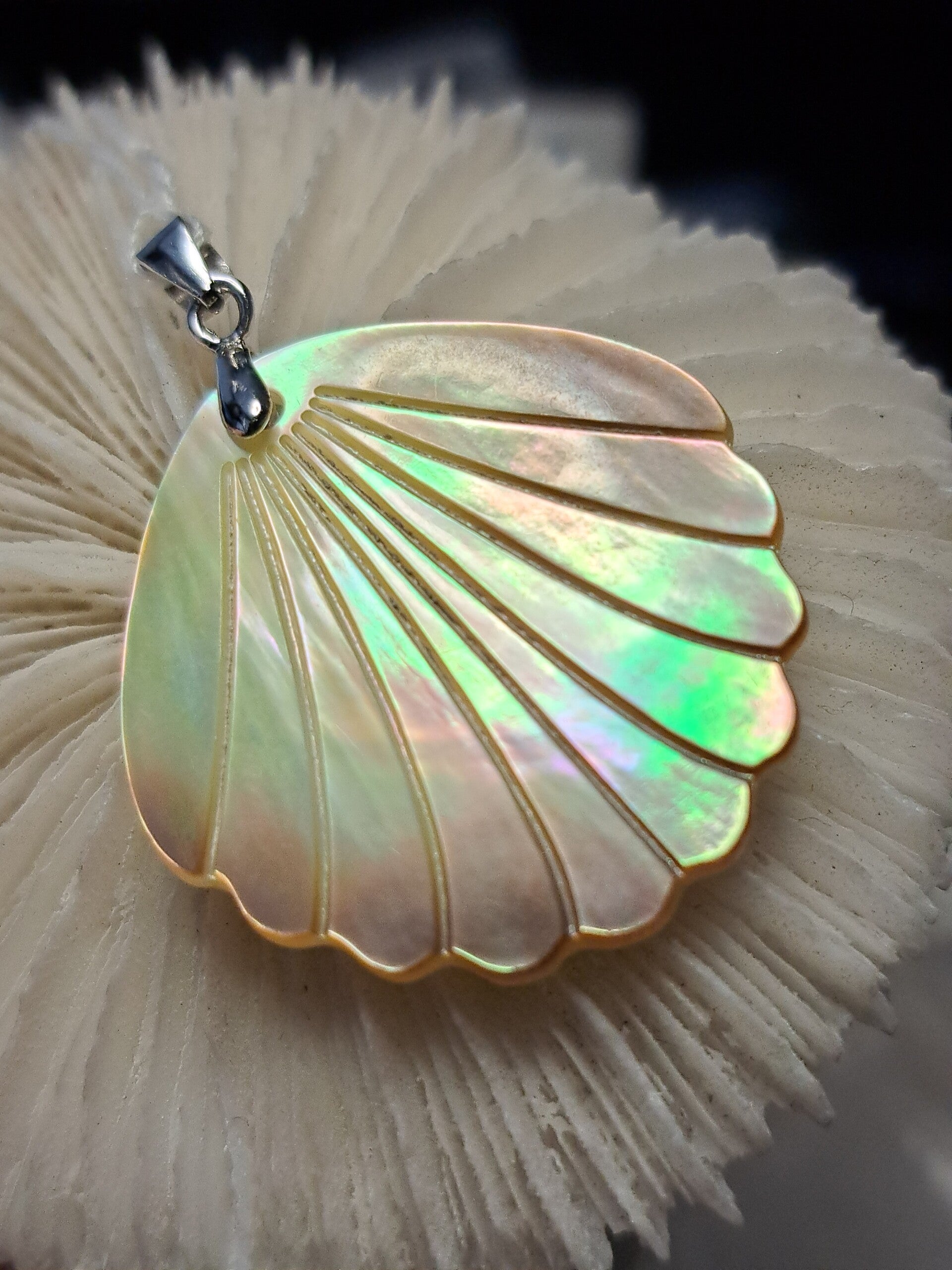 Abaloon Schelp Hanger