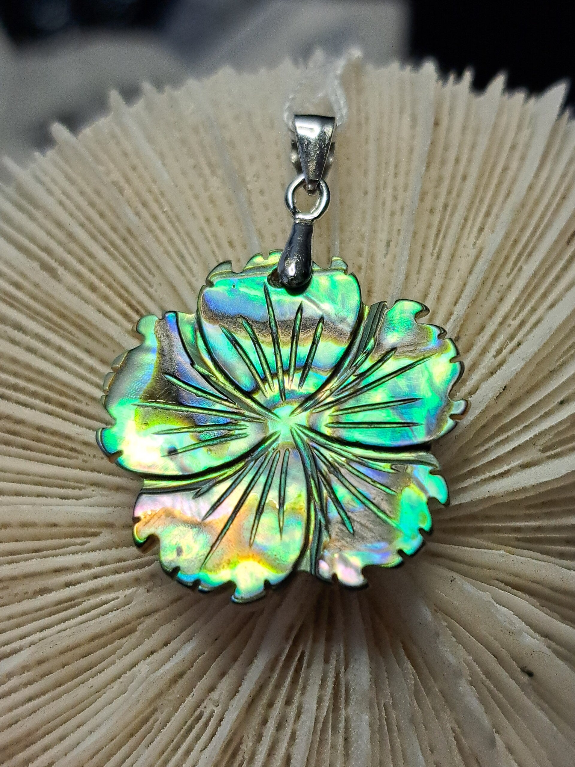 Abaloon Hanger Bloem