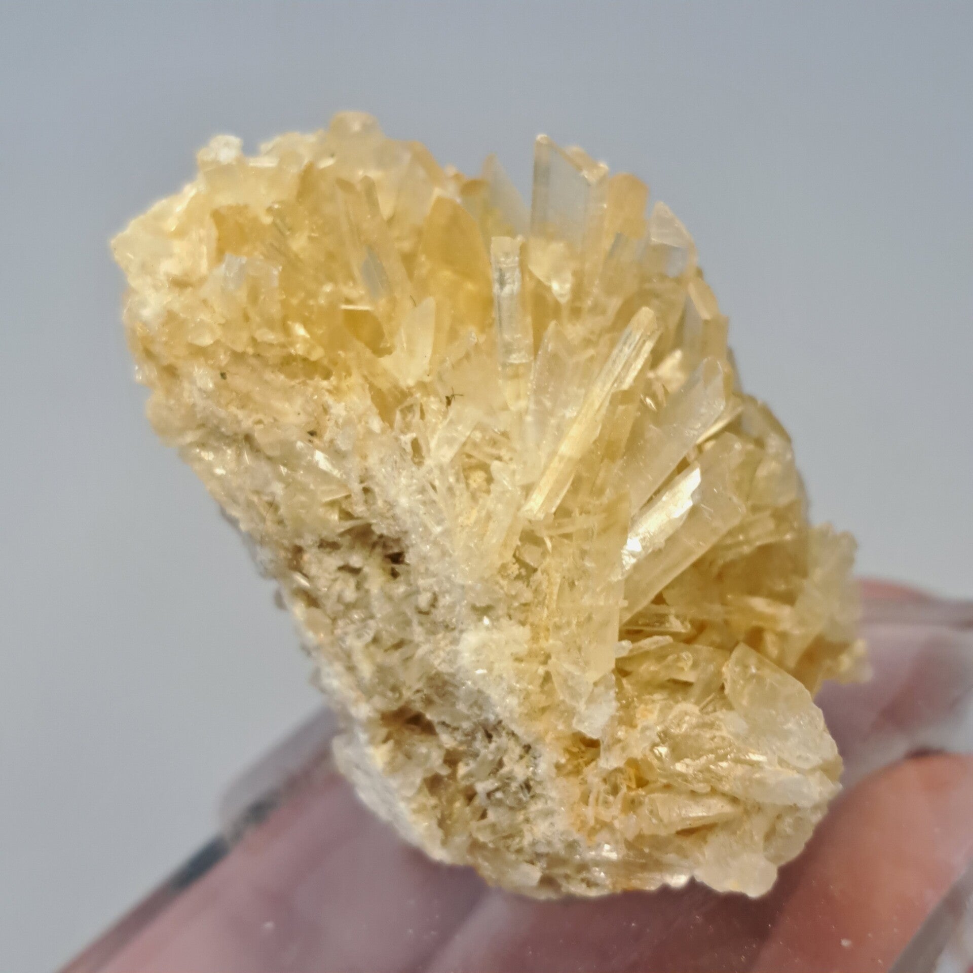 Gypsum (4)
