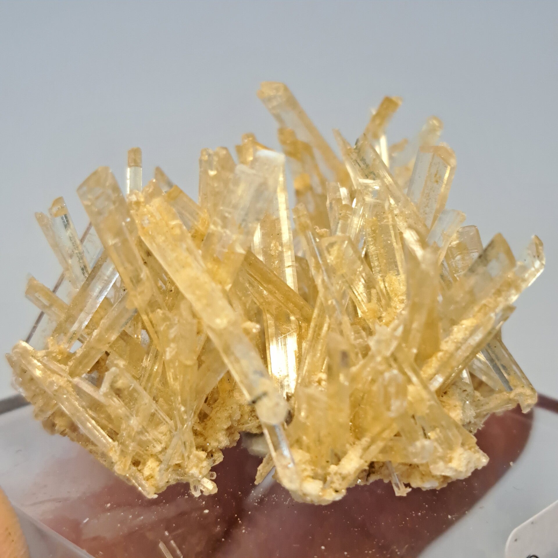 Gypsum (5)
