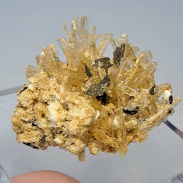 Gypsum (6)