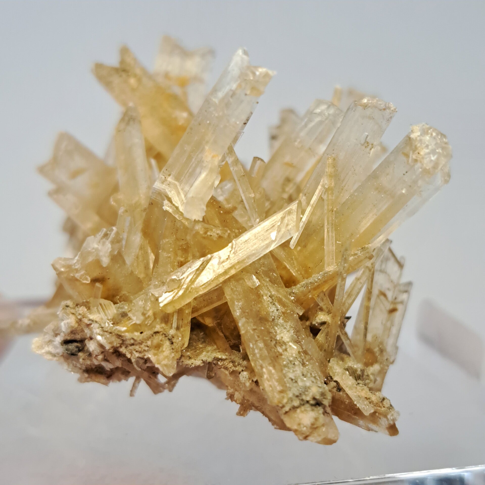 Gypsum (7)