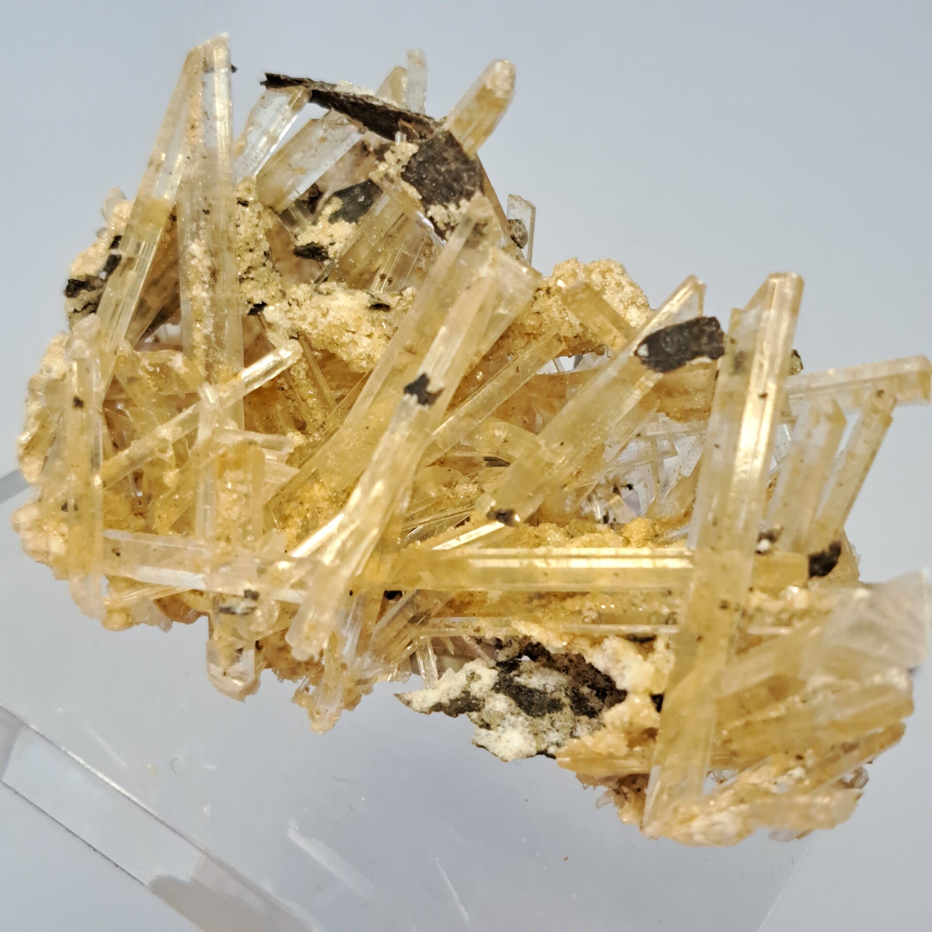 Gypsum (8)