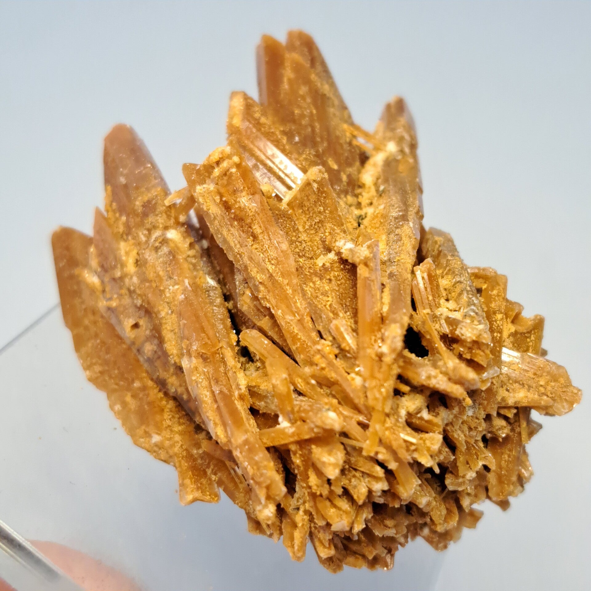 Gypsum (9)