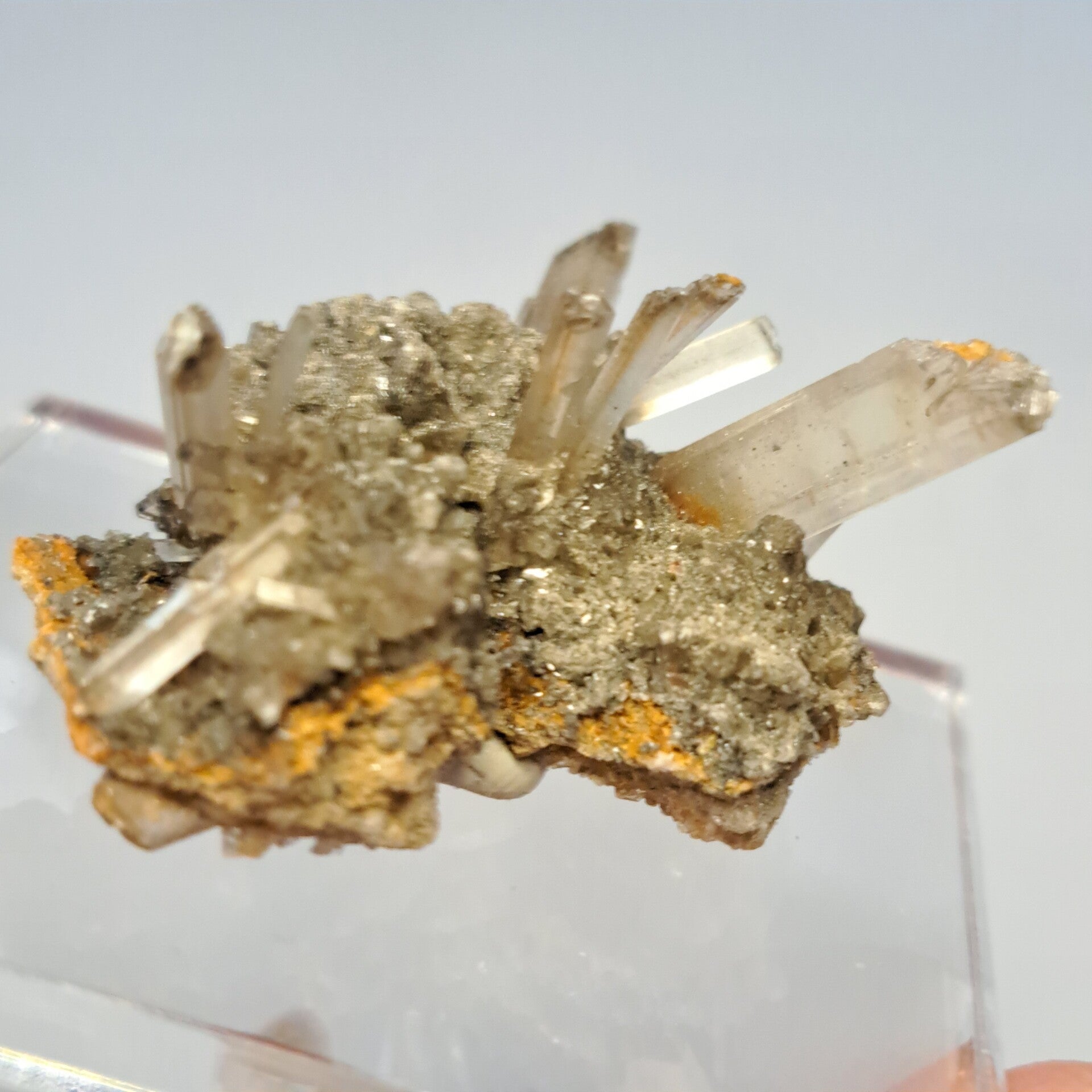 Gypsum (11)