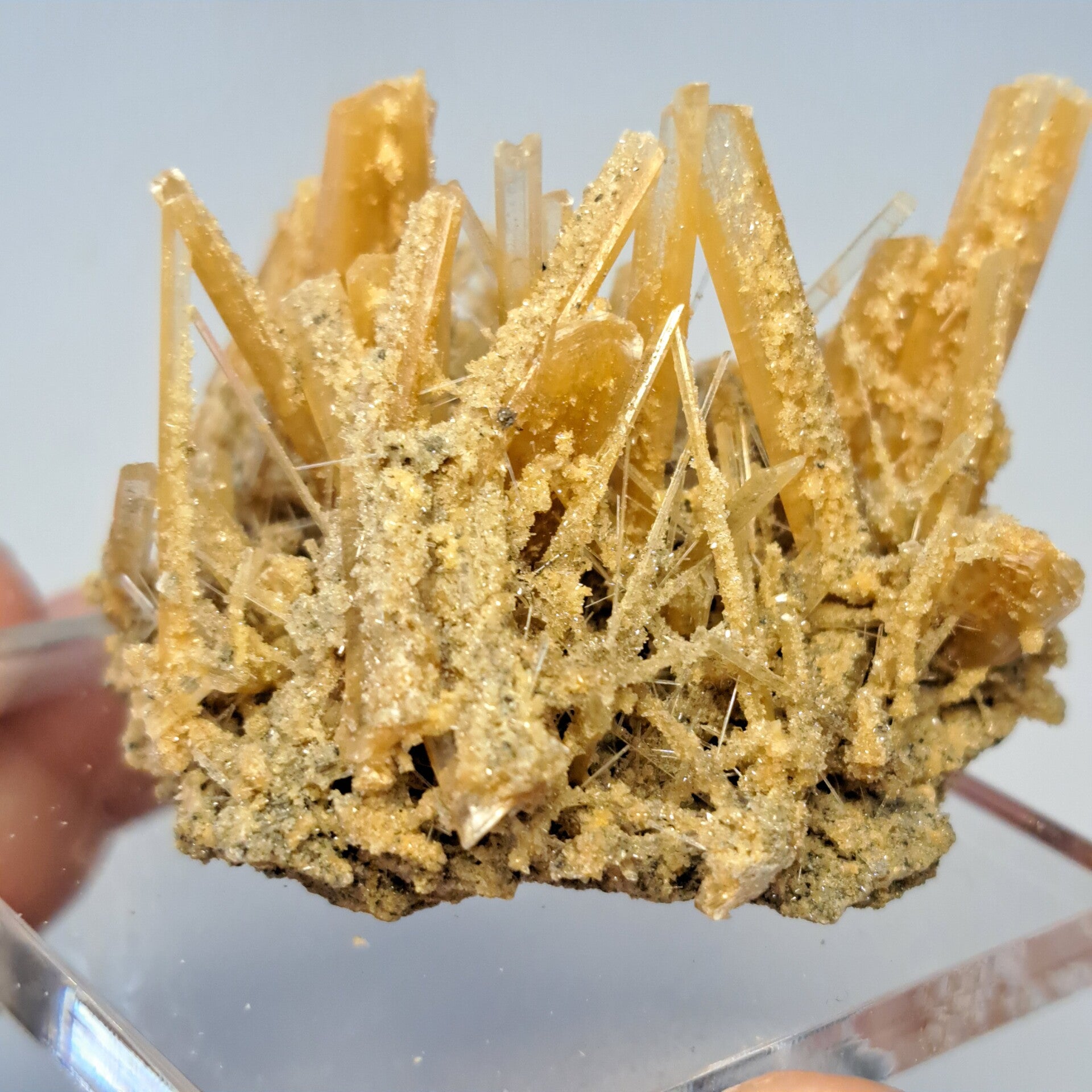 Gypsum (13)