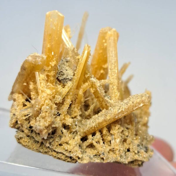 Gypsum (15)