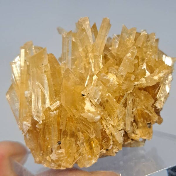 Gypsum (17)