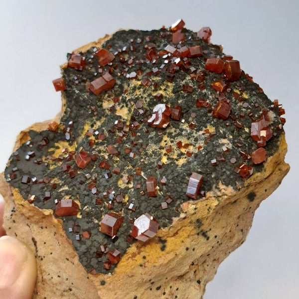 Vanadiniet Cluster (4)