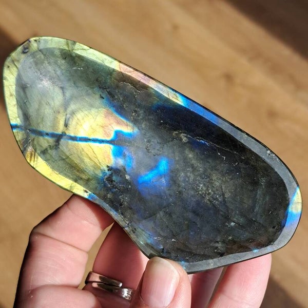 Labradoriet Schaal (1)